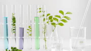 Is Homemade Curry Leaf Oil Really Effective?